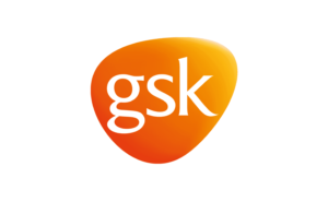 Logo Item